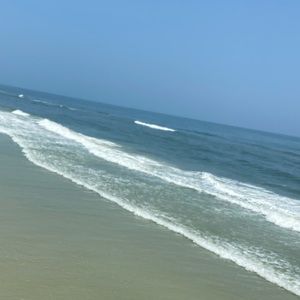 Meet your Posher, Alexandra Shipley